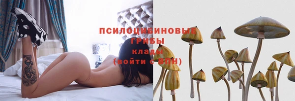 индика Надым