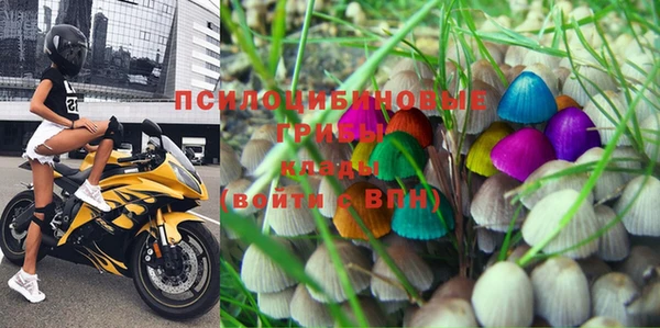 2c-b Алексин