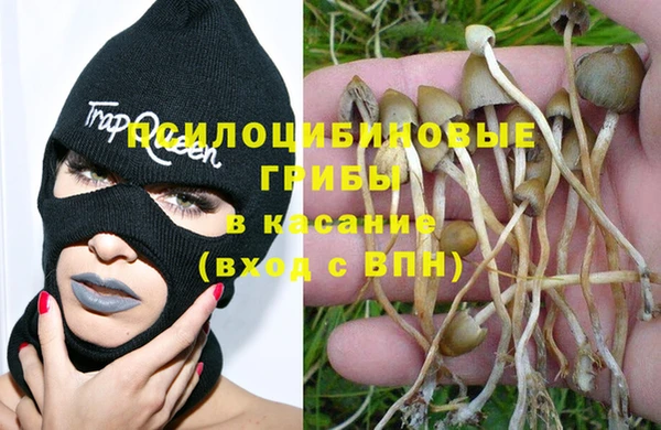 2c-b Алексин