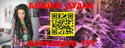 мяу мяу мука Будённовск